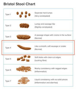 bristol-stool-chart-image-credit-kylet-2011