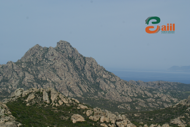 Accord de la commission mixte parlementaire sur la loi Rist : la montagne accouche d’une souris !