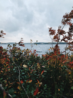 A side of the lake – 1