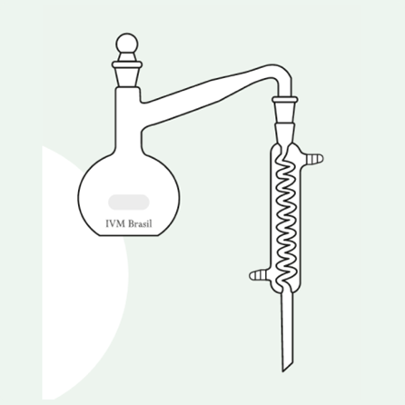 Imagem Produto Dentro de Categoria