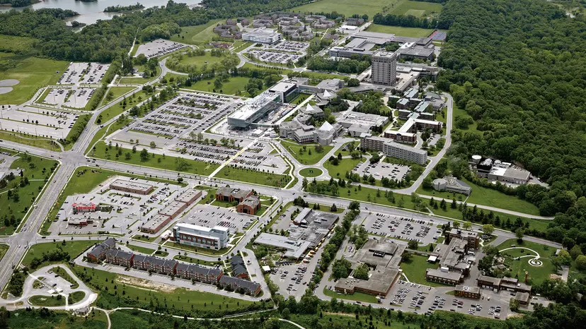 brock campus