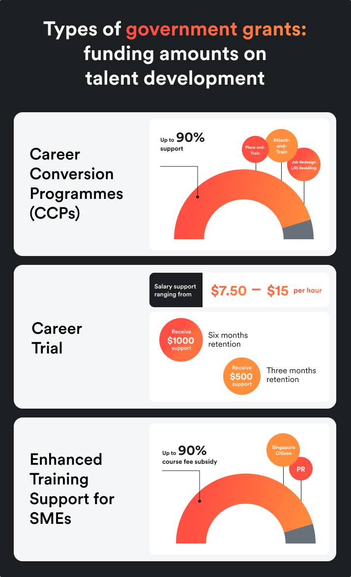 Government grants that support overall talent development