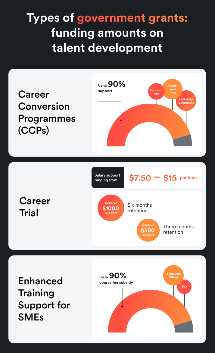 Government grants that support overall talent development