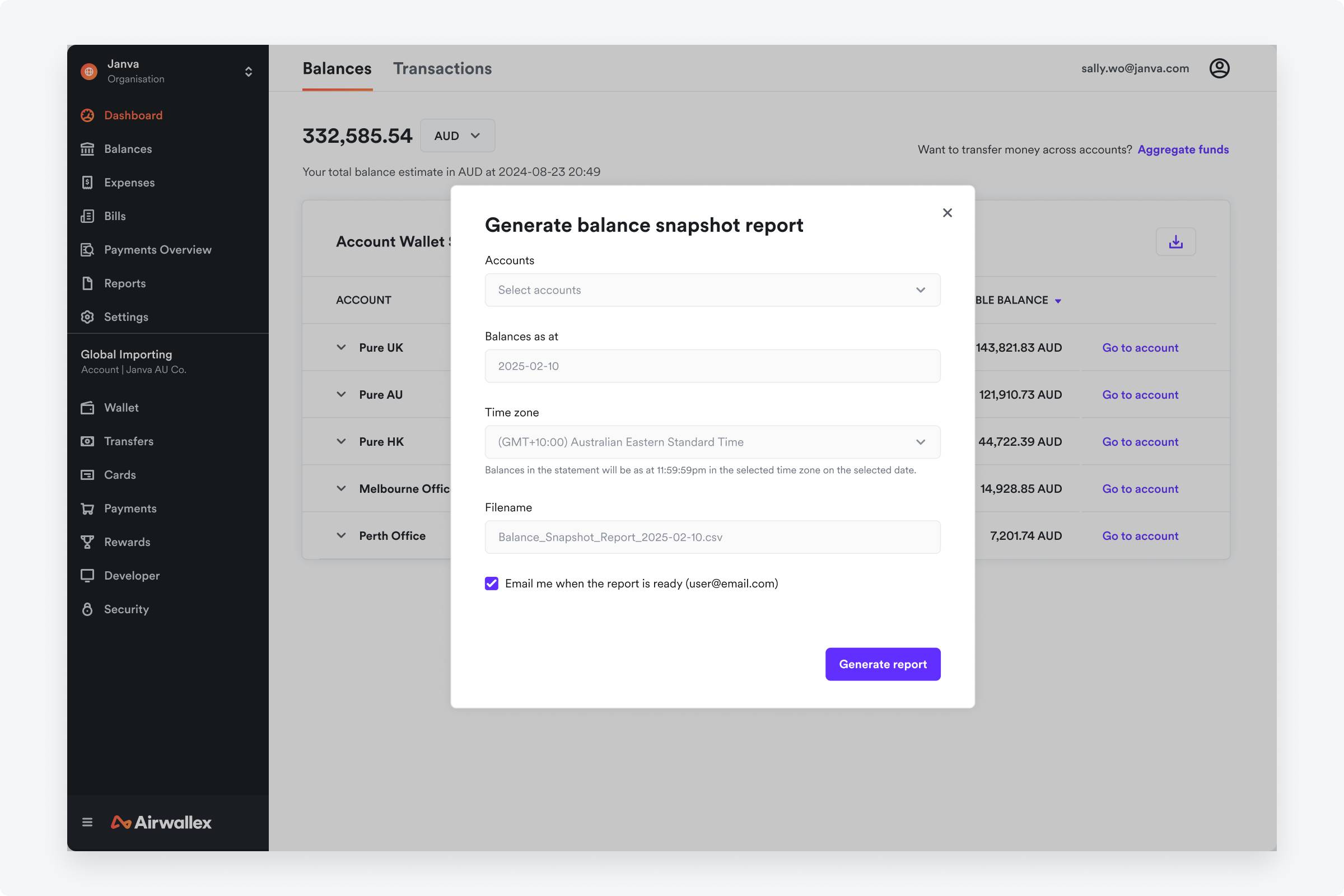 Balance Snapshot Report UI