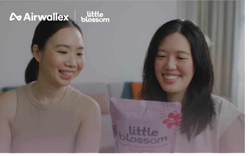 婴儿食品品牌 Little Blossom 如何利用一站式支付解决方案实现高效扩张