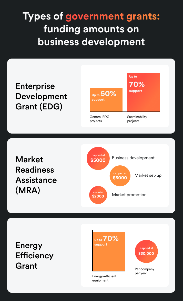 Government grants that support overall business development