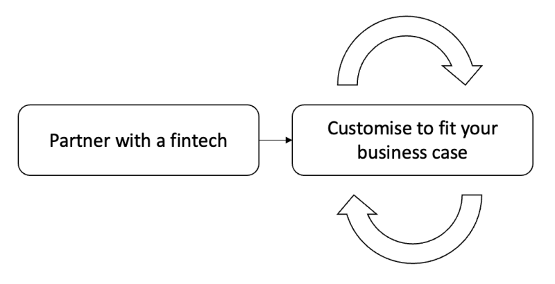 Partner with a fintech > customise to fit your business case