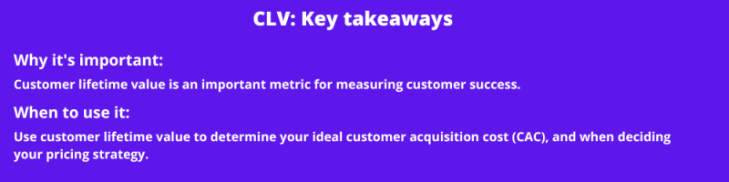 CLV key business metrics