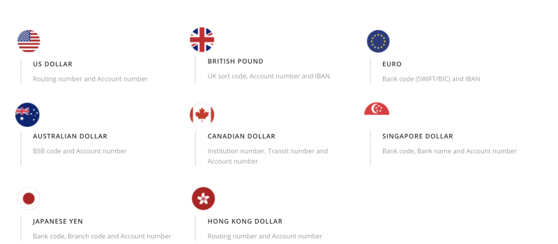 Image of Payoneer's available foreign currency accounts.
