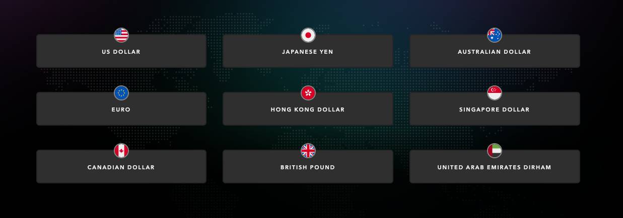 Image of Payoneer's available foreign currency accounts.