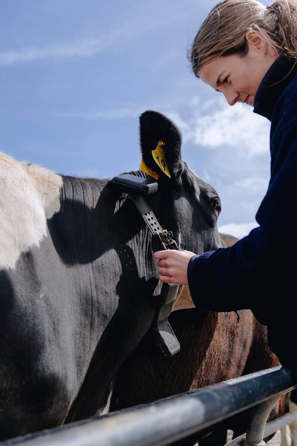 Halter steers smarter financial operations with Airwallex thanks to improved spend visibility