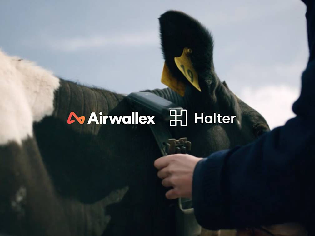 智能牧场+智能财务：AI 农业科技公司 Halter 依托 Airwallex 提升企业支出掌控力