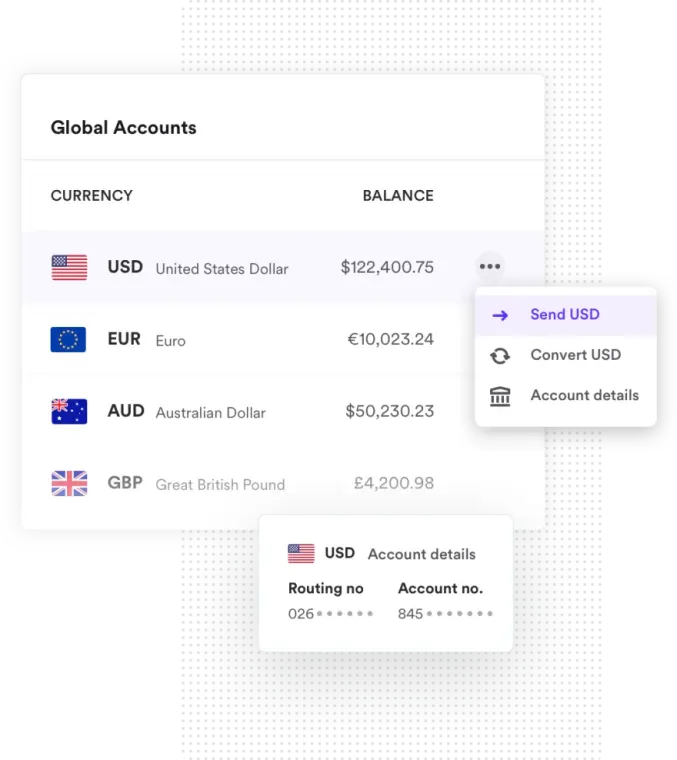 Foreign currency account screenshot of sending money in USD