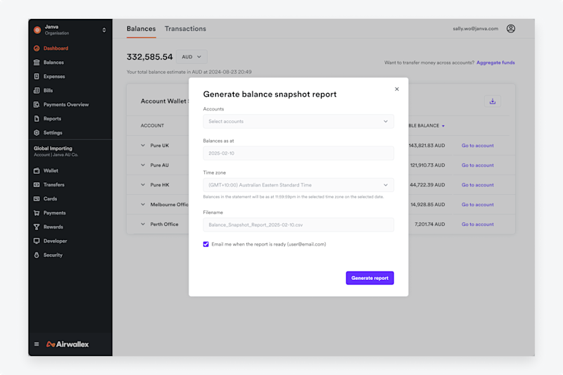 Balance Snapshot Report