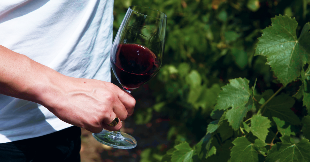 Glass of pinot noir in a vineyard