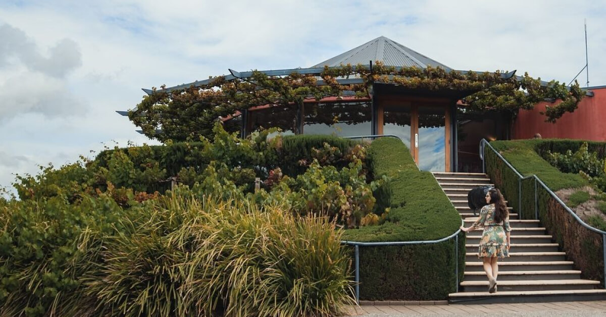 Hugh Hamilton Cellar Door