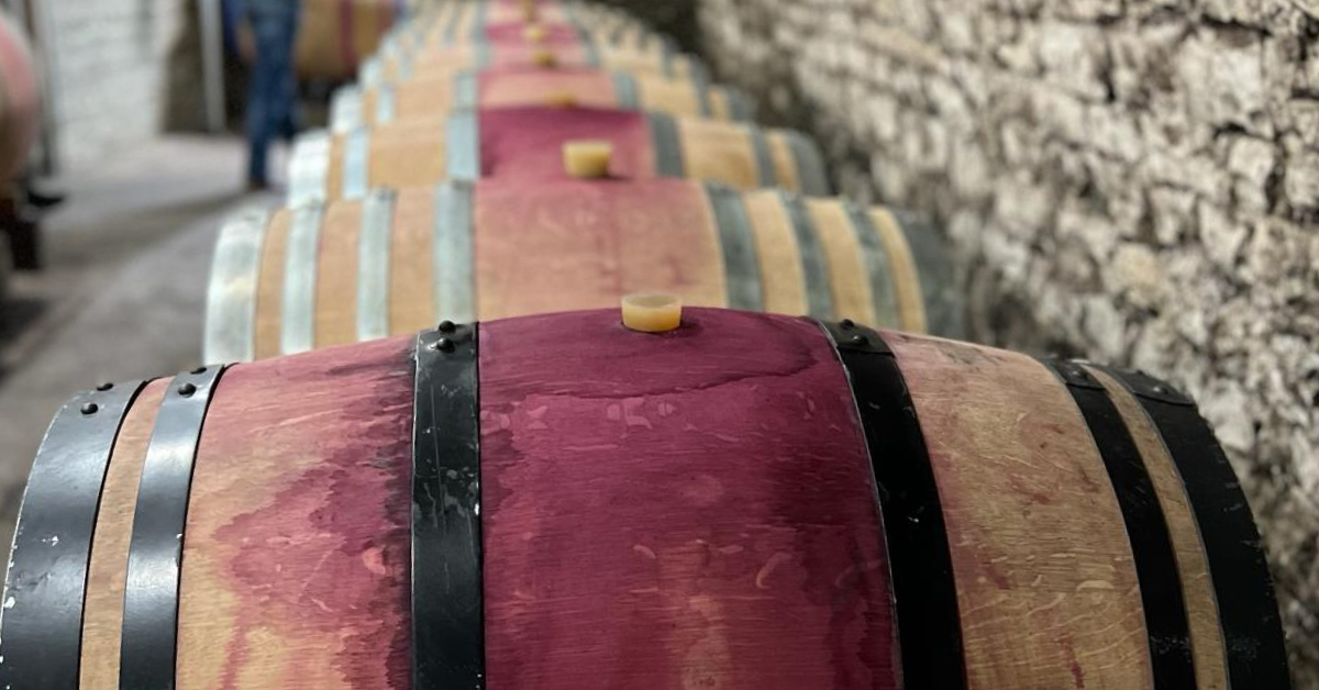 Pinot noir barrel in Burgundy