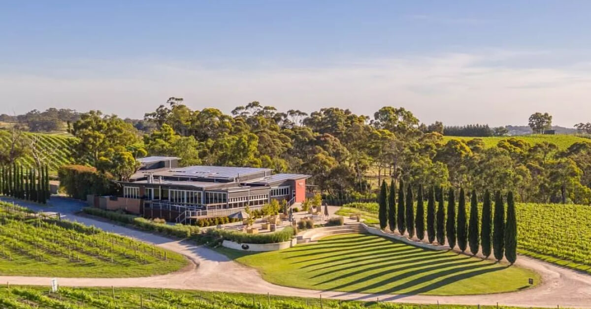 The Lane Vineyard Cellar Door 
