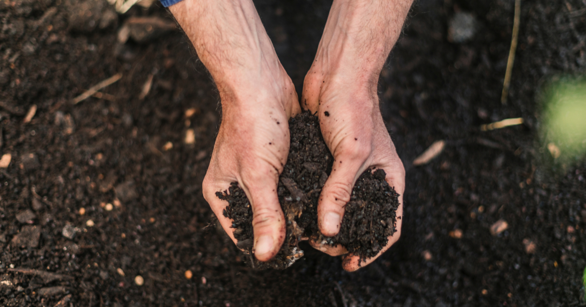 Featured in a guide to the wines of Margaret River by Vinomofo | Epic wine deals, happiness guaranteed.