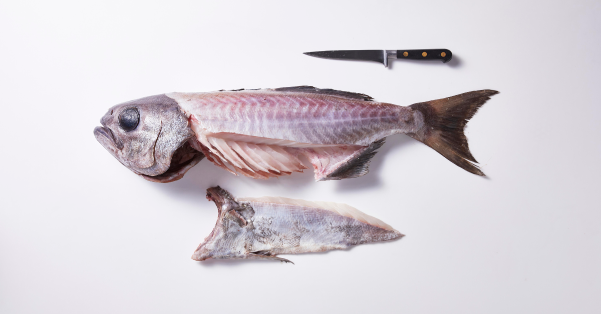 Fish Butchery Whole Fish