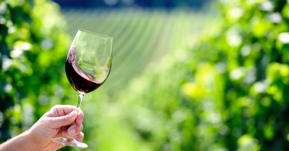 Glass of wine raised in a vineyard