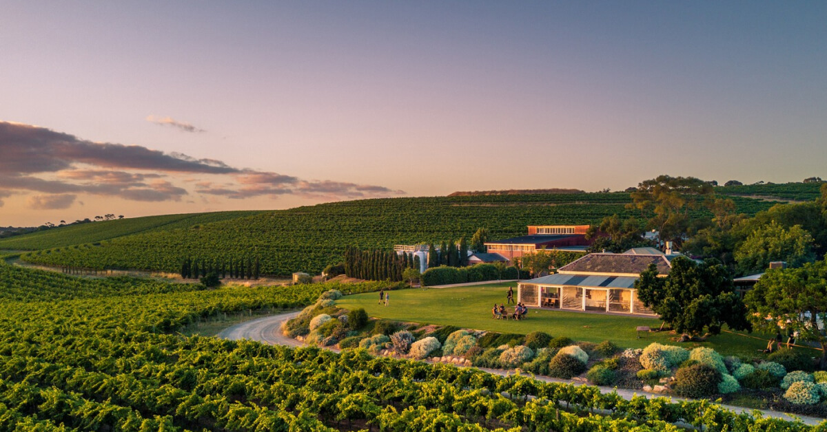 Coriole’s historic estate with vineyard views