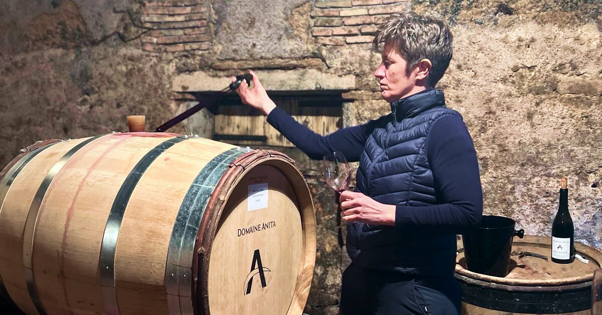Anita Kuhnel - Wine Thief