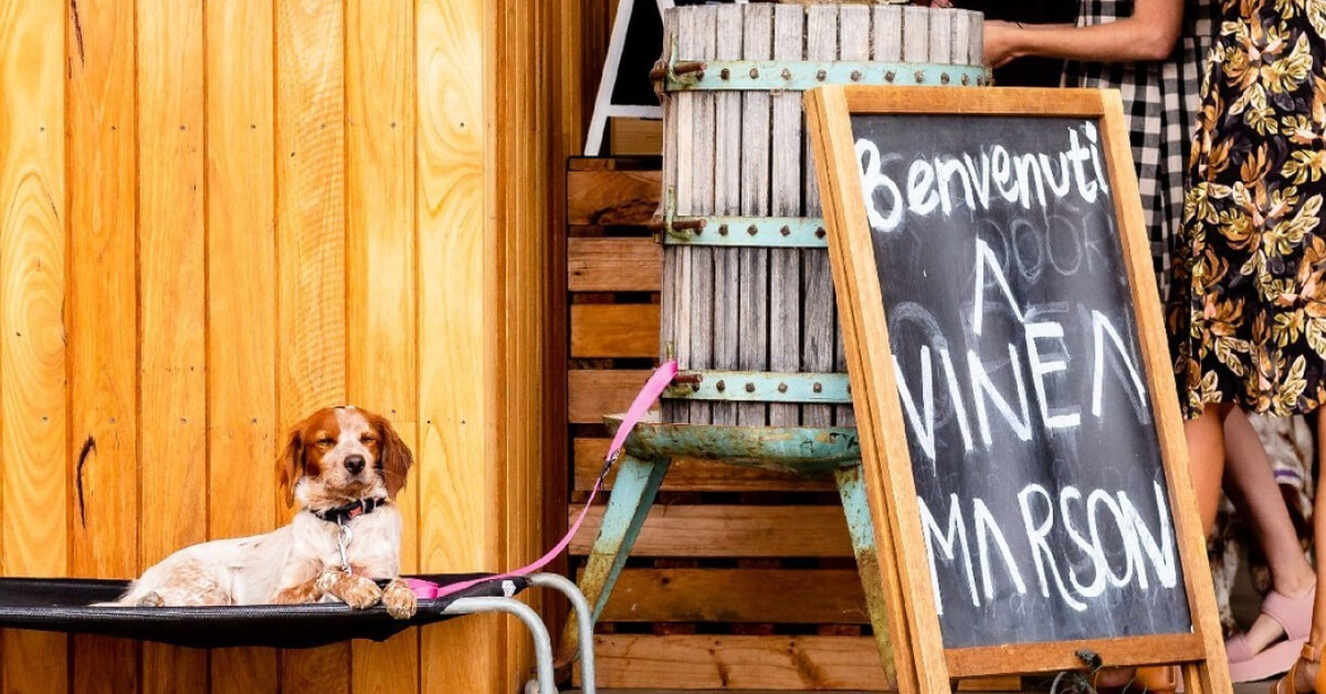 Vinea Marson cellar door