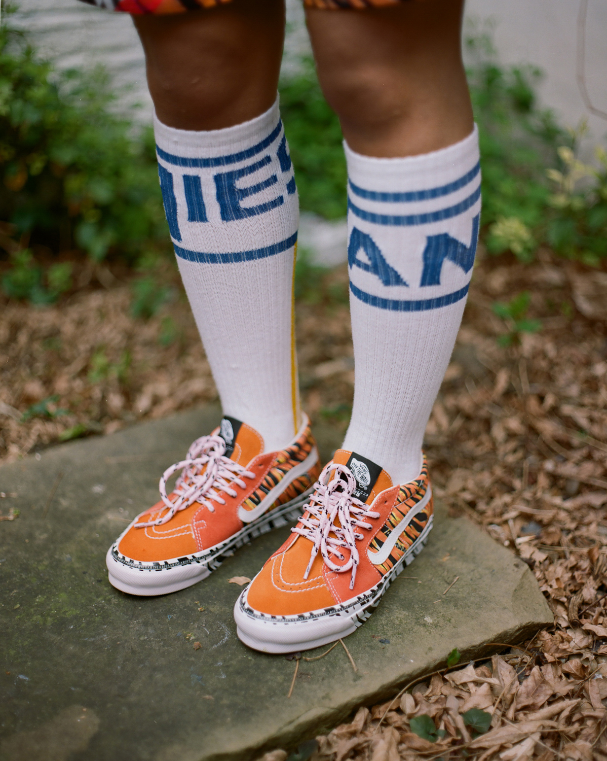 aries x vault by vans