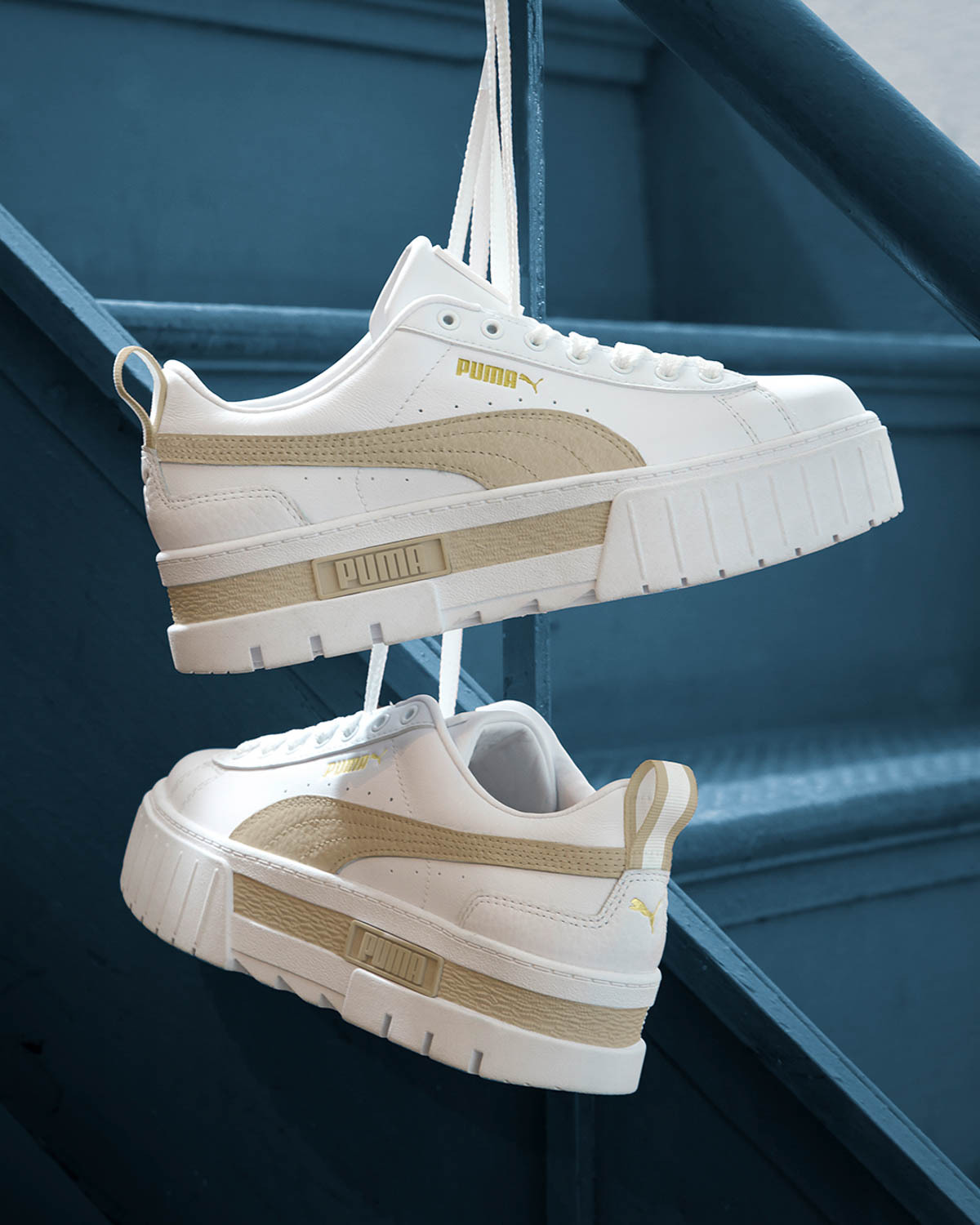 Mayze lth wn's puma clearance