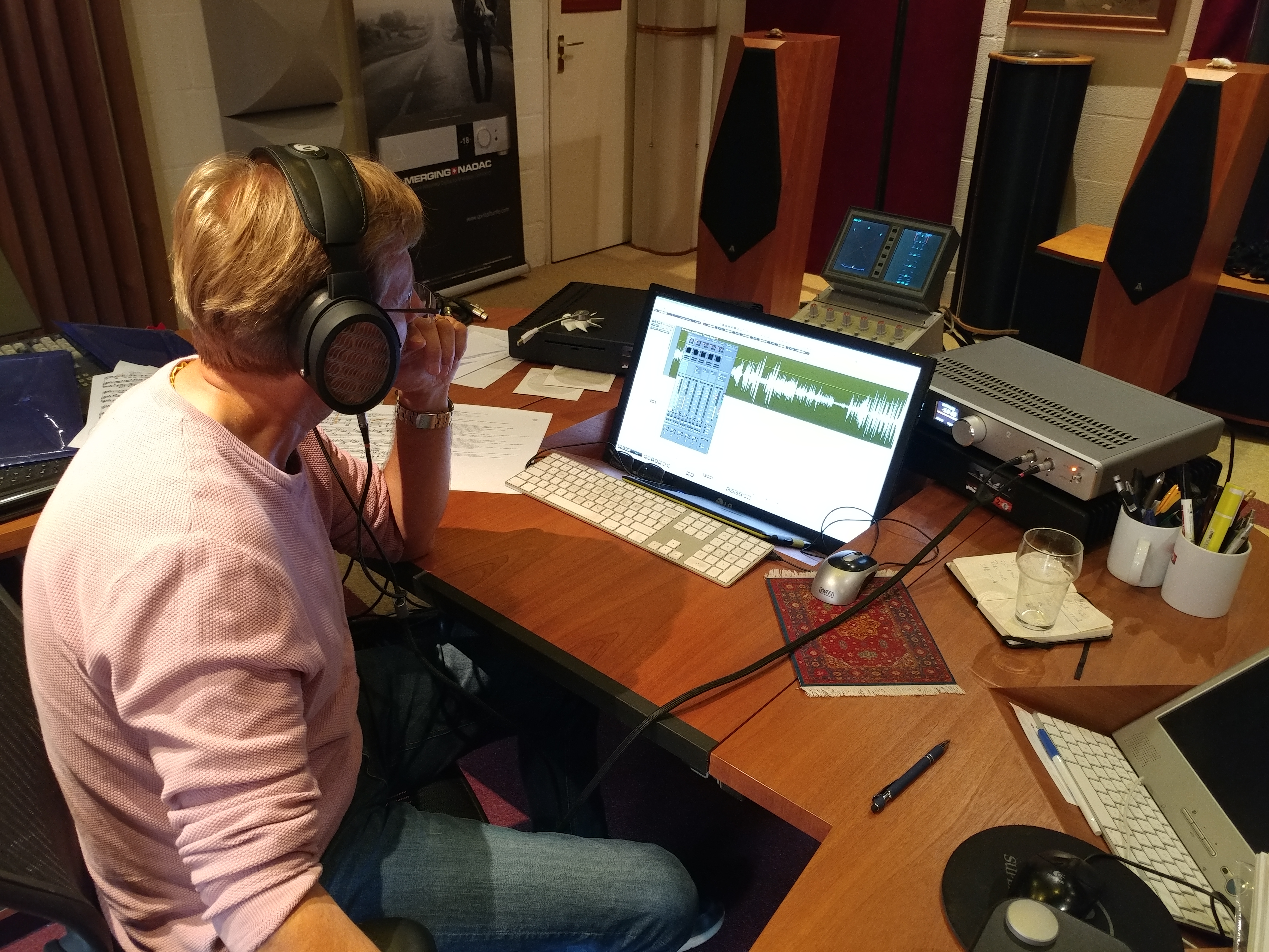 Article image: Bert van der Wolf - Spirit of Turtle, Haaften, The Netherlands