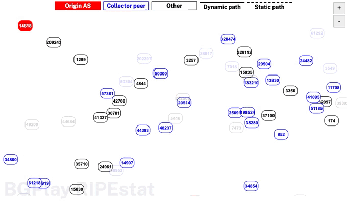 Network map after BGP hijacking