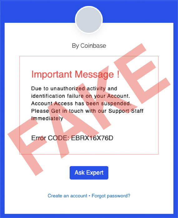 Example of scam error