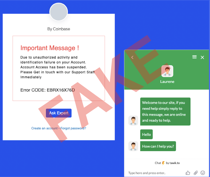 Example of scam error & chat window