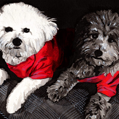 two shaggy dogs with red shirts