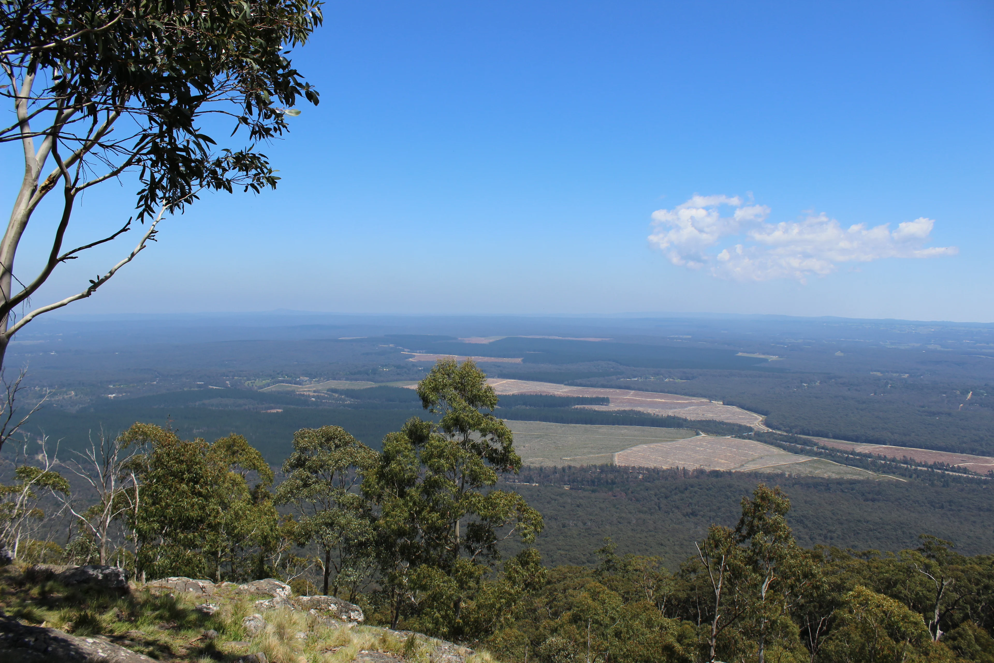 View from Mount Macedon Lookout. 