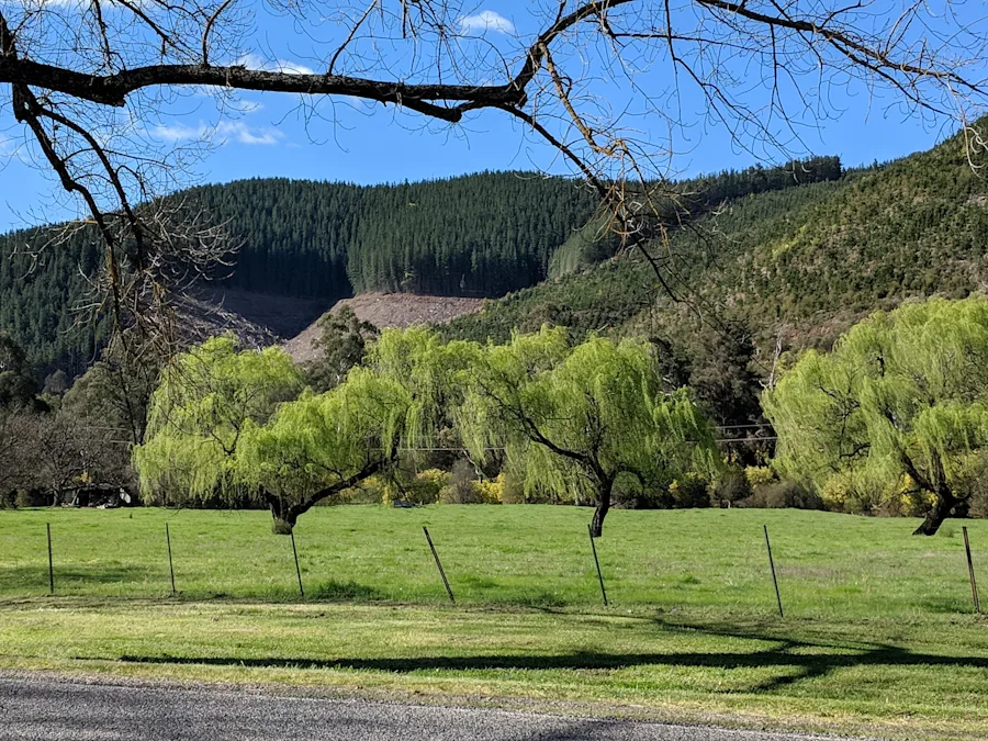 7 Best Things To Do in Bright with Kids in 2024