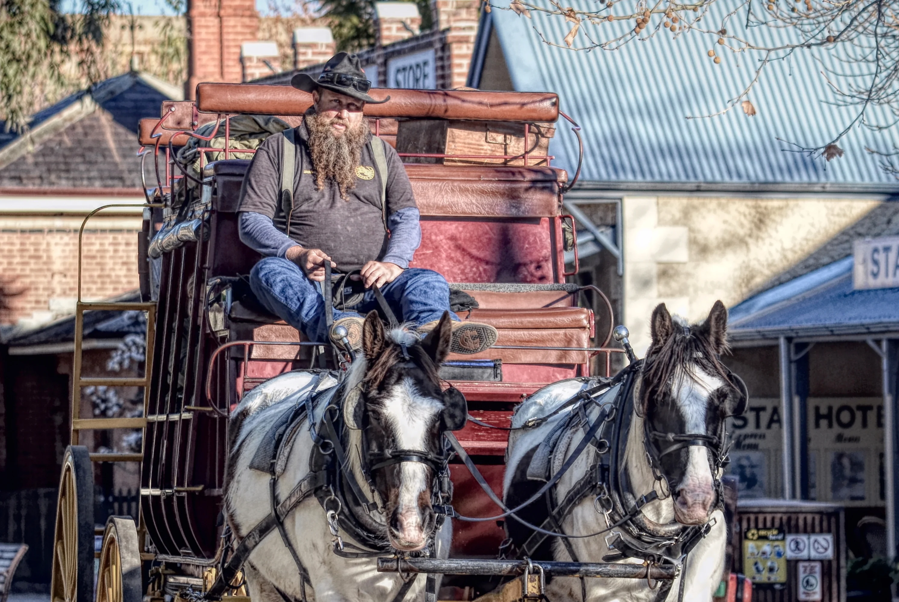 Horse coach ride along Murray Esplanade