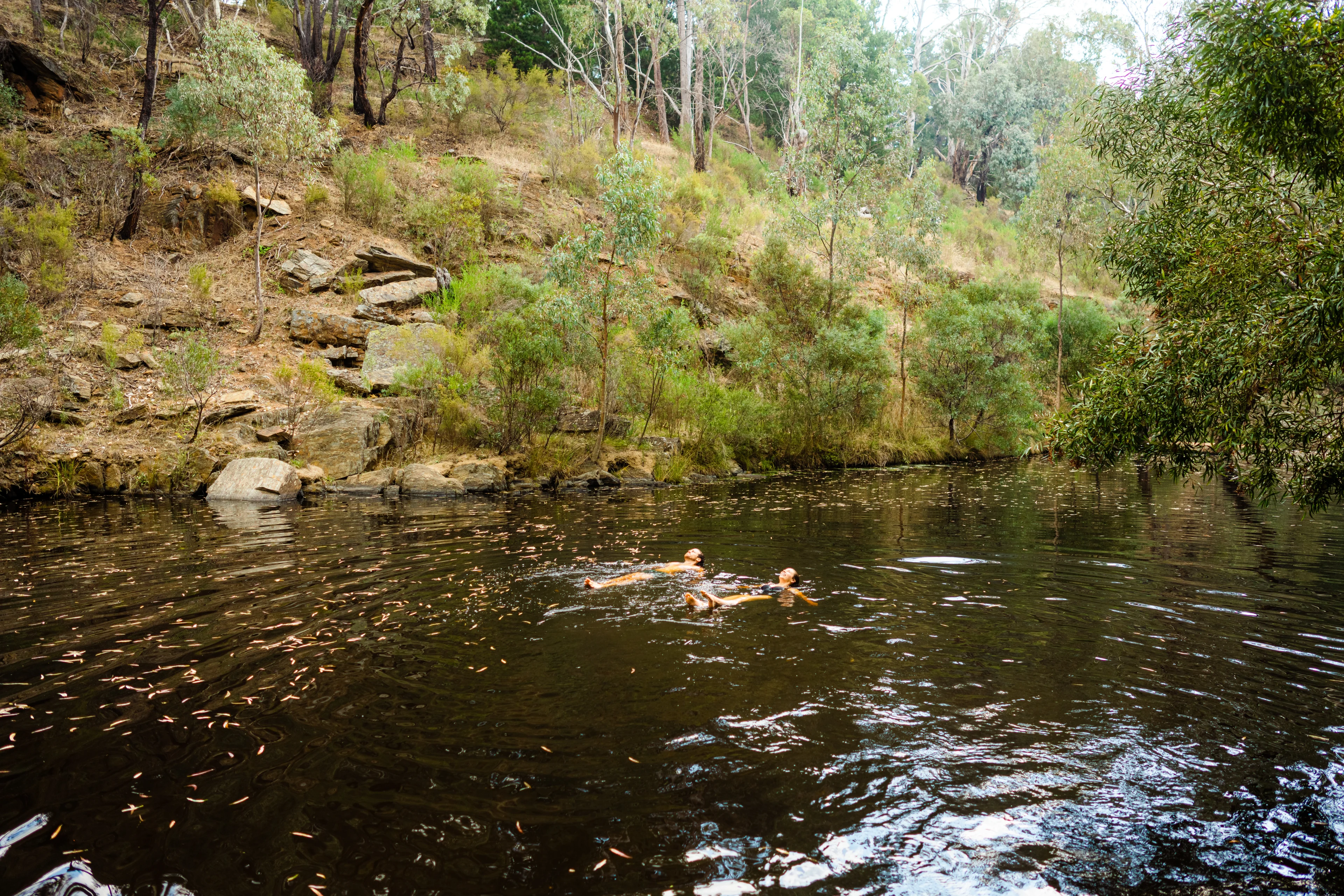 Swimming in the mineral water in the river pool at Vaughan Mineral Springs near Daylesford 