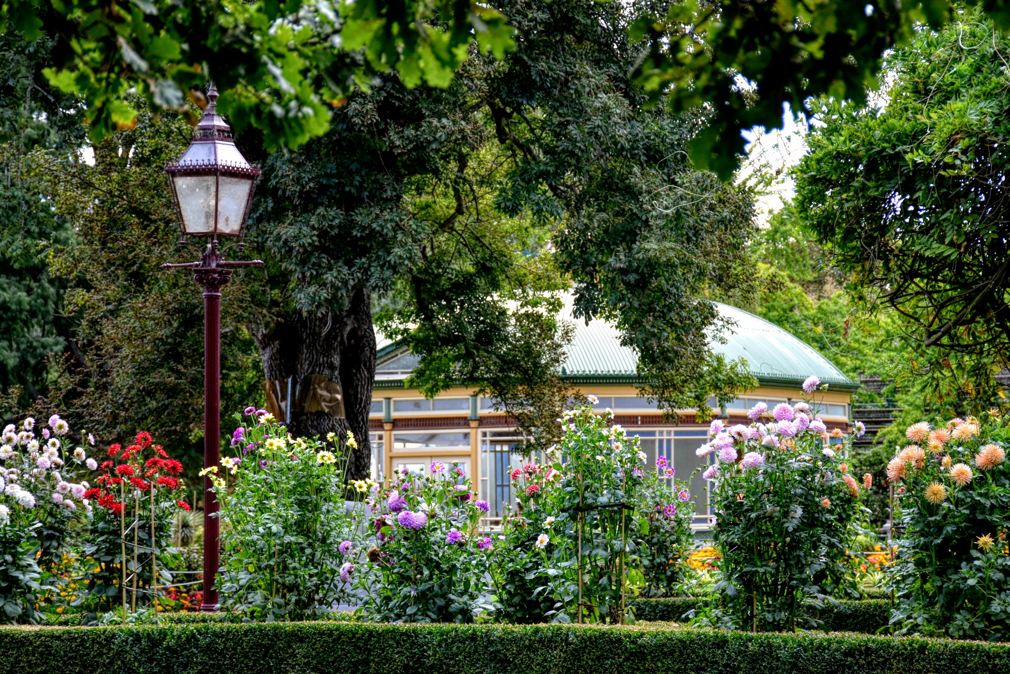 Flowers and Statutory Pavilion at the Ballarat Botanical Gardens Reserve. 