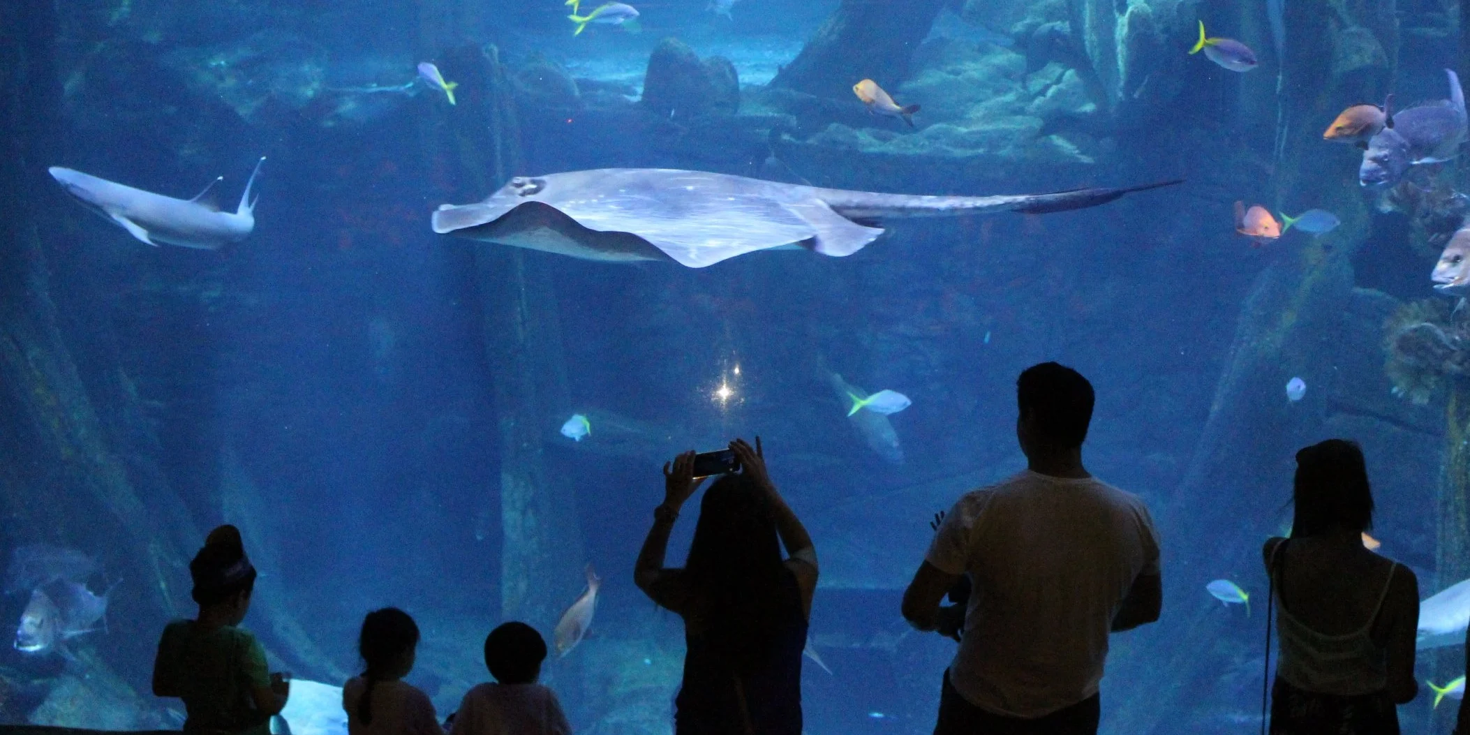 Family looking at fish, stingrays and sharks at SEA LIFE Melbourne Aquarium. 
