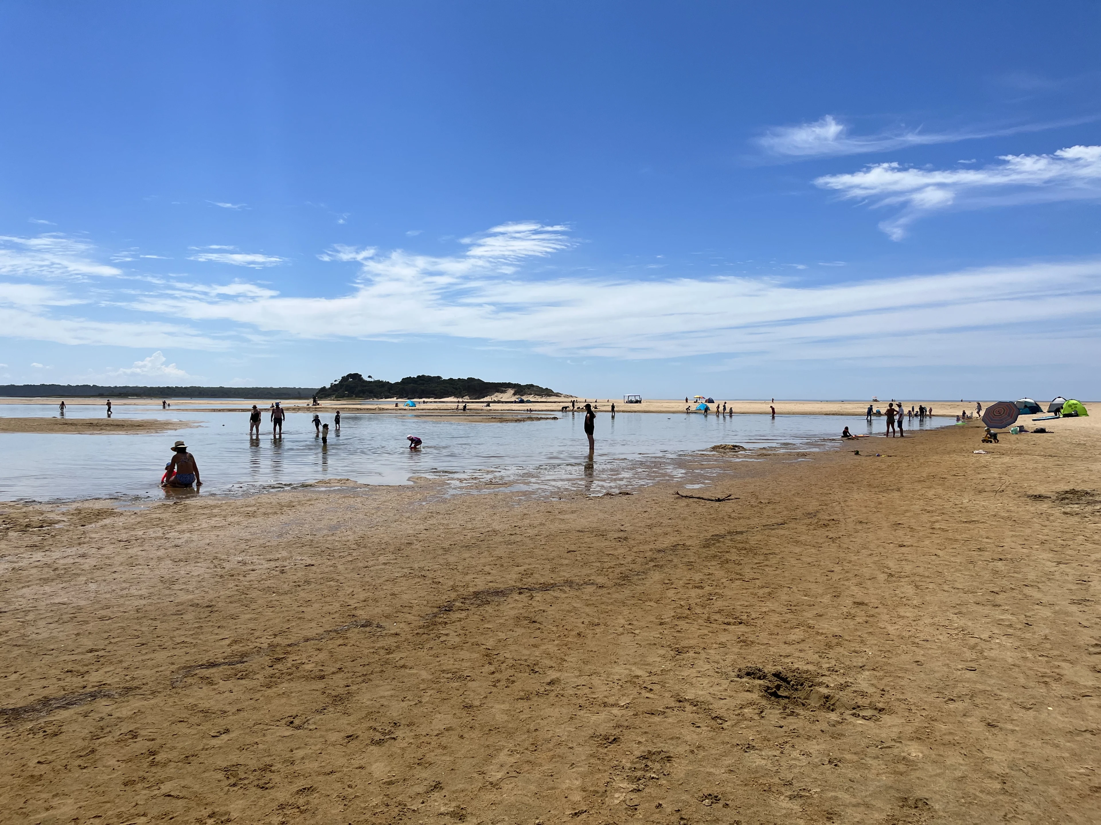 Families playing in the water and on sand at Lake Tyers inlet.