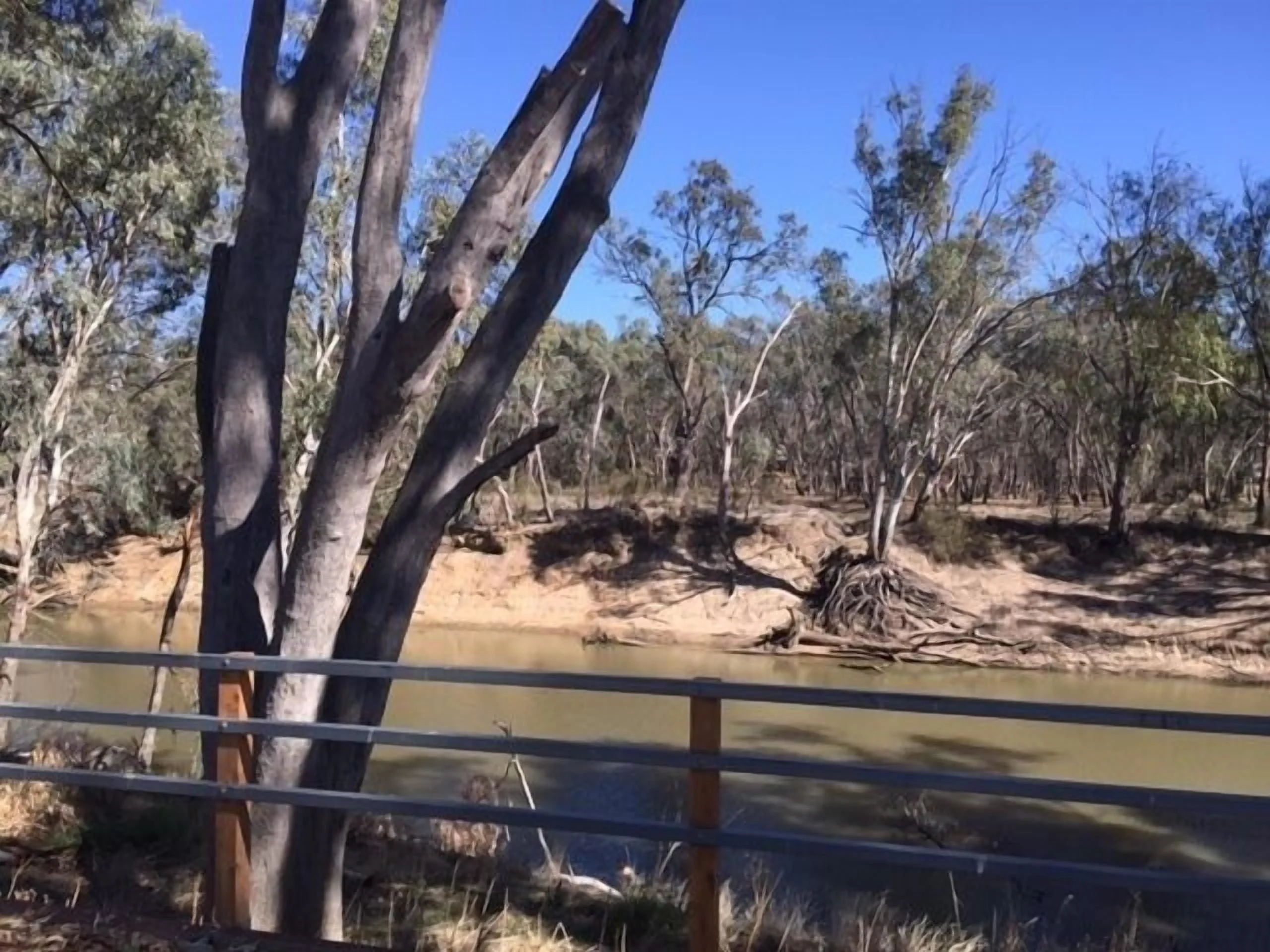 Photo of Campaspe Lodge at the Echuca Hotel property