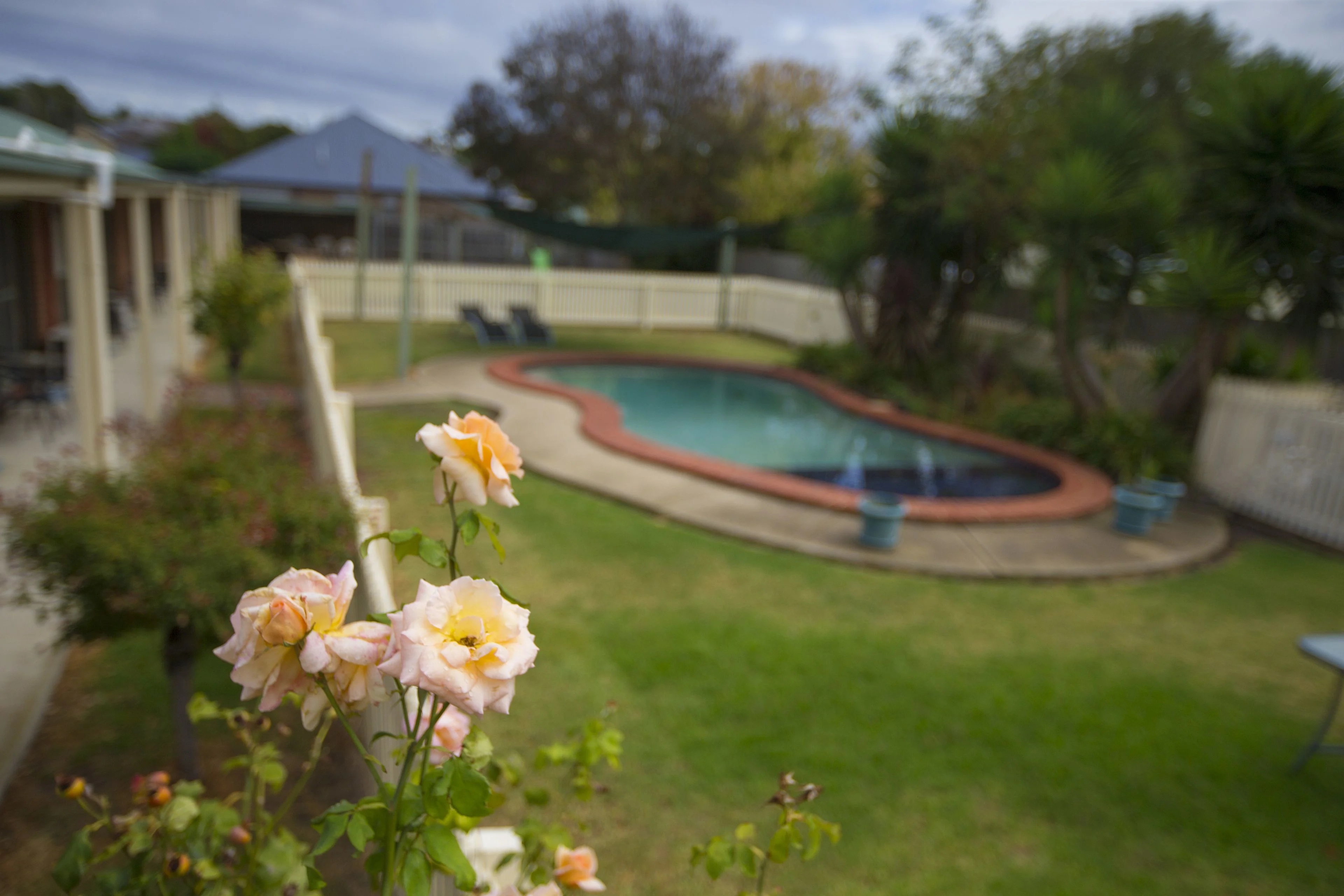 Photo of Rose Garden Motel property