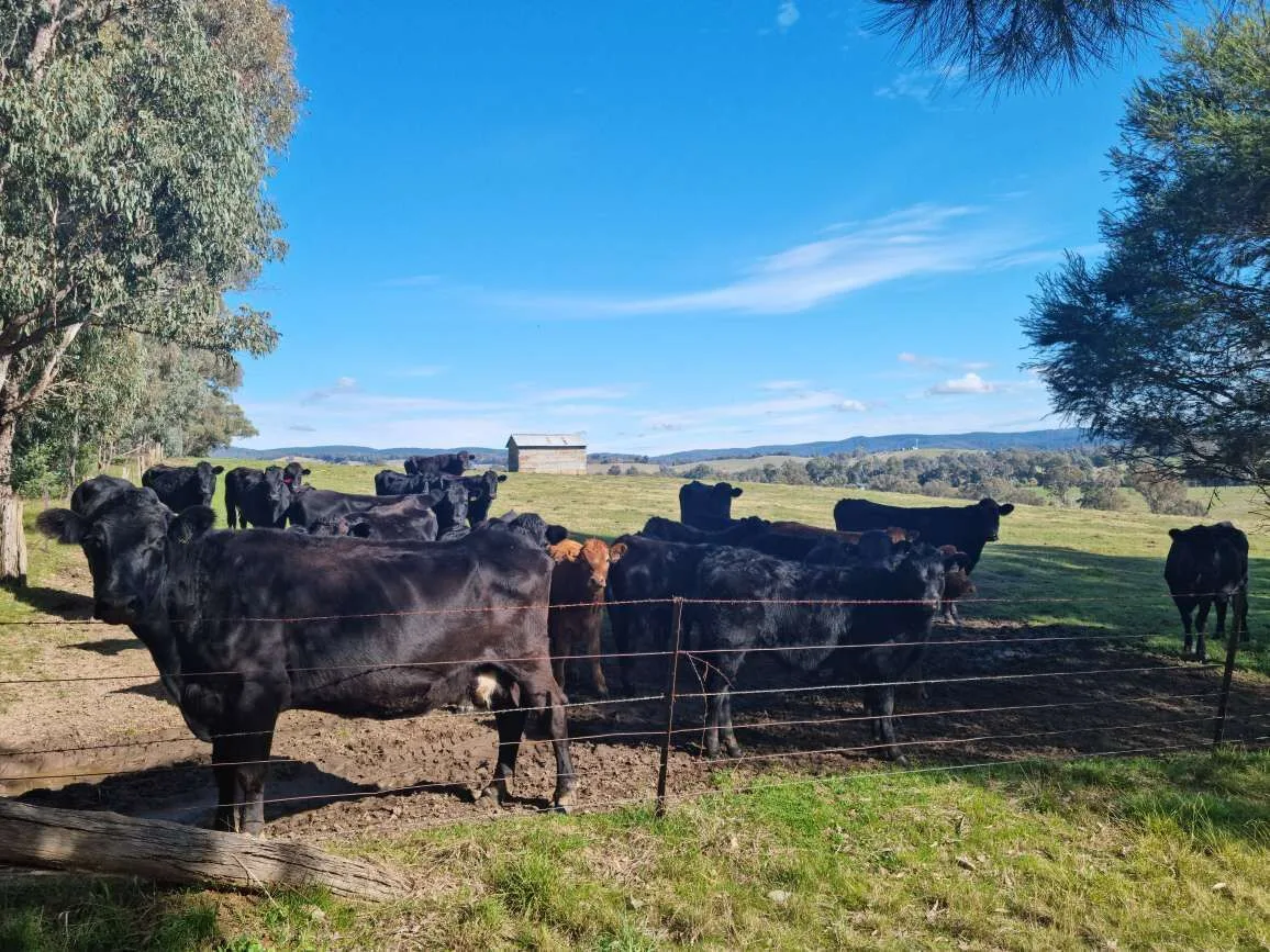 Photo of Secluded farm stay with amazing views property