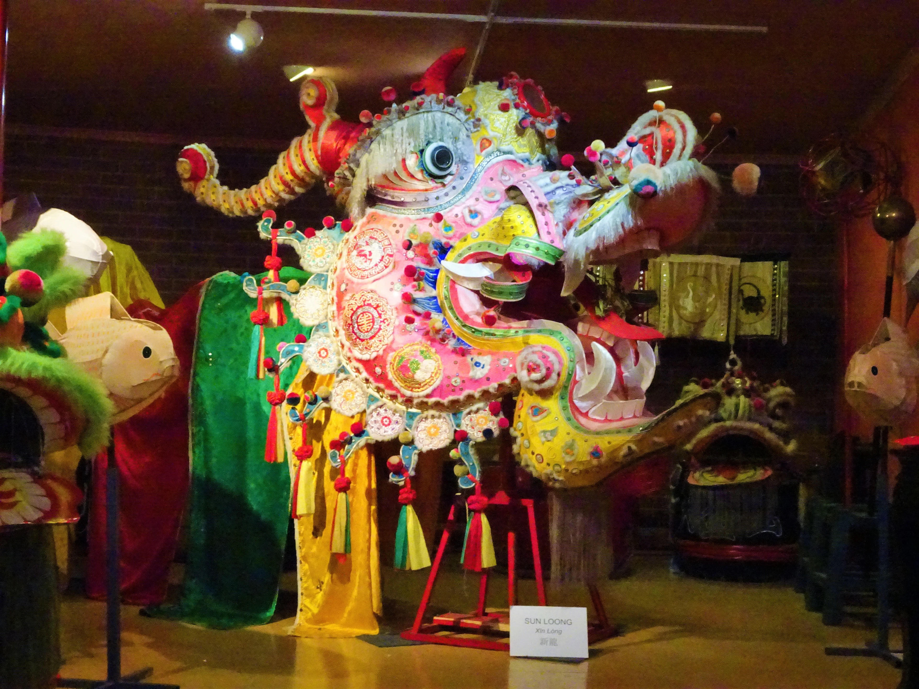 Head of the worlds longest dragon Sun Loong in the Golden Dragon Museum in Bendigo, Victoria.