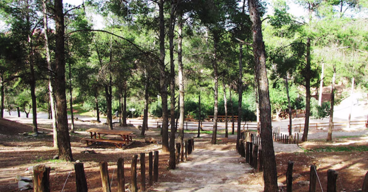 sidi maafa park