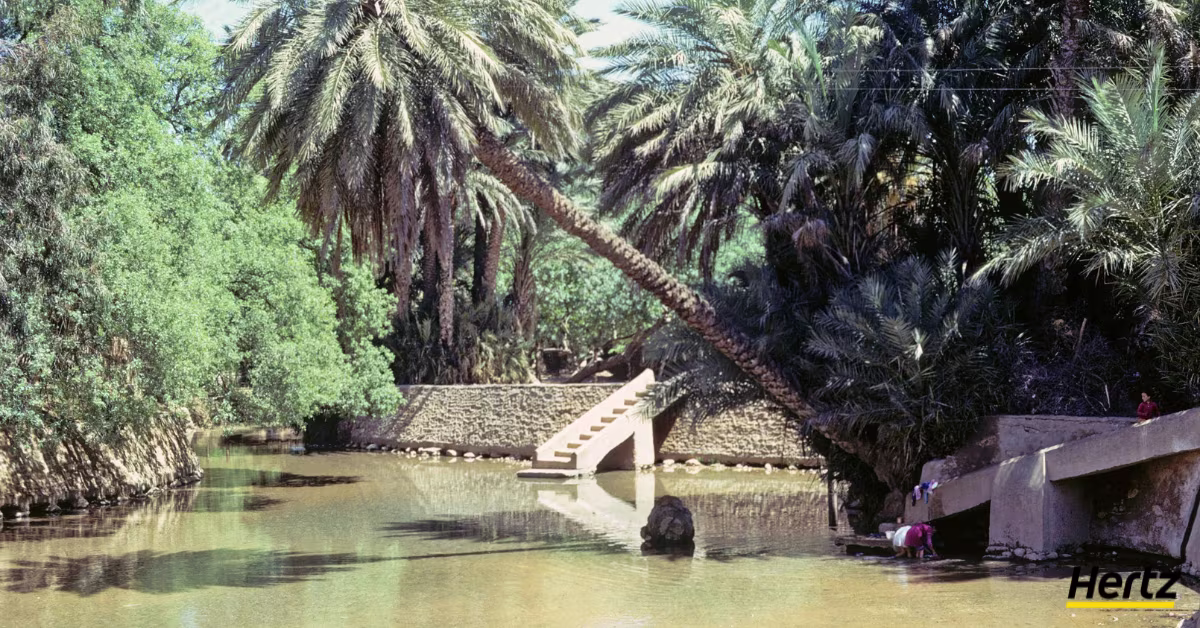 oasis sidi yahya