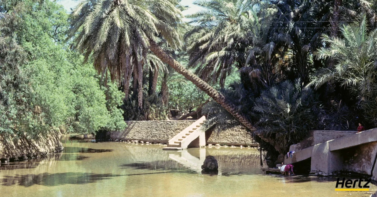 photo oasis sidi yahya