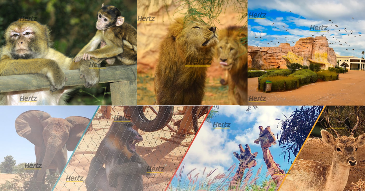 parc zoologique rabat